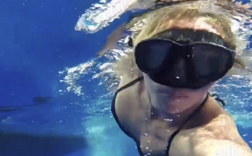 Art. 2 – Who is DreamChaser&nbsp;?