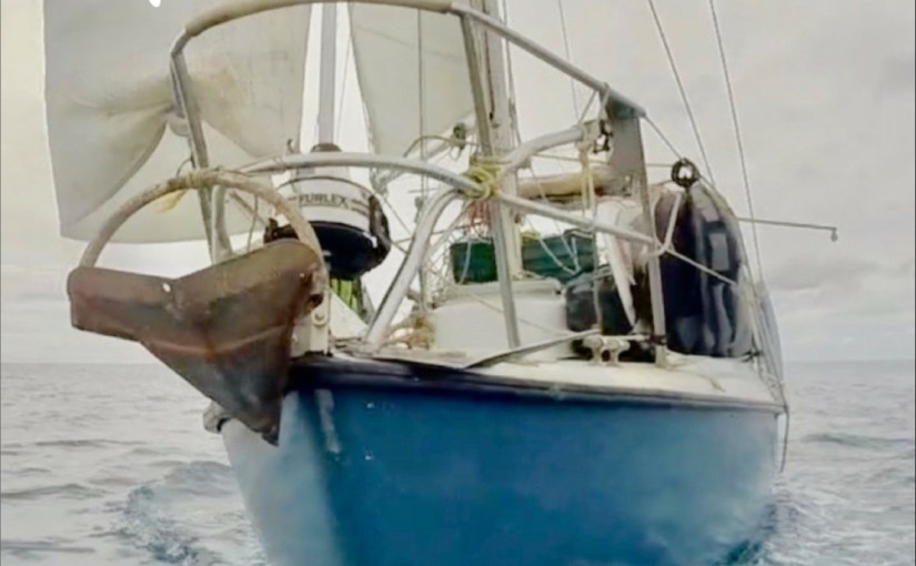 Mon premier livre est sorti&nbsp;!